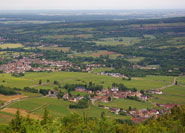 Weinfelder